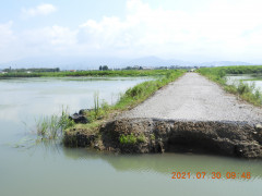 DSCN9102.JPG
