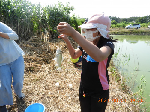 DSCN9177.JPG