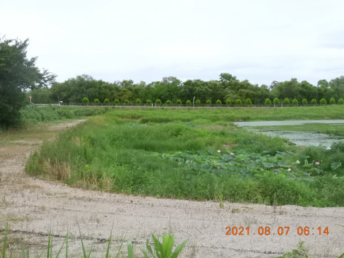 DSCN9287.JPG