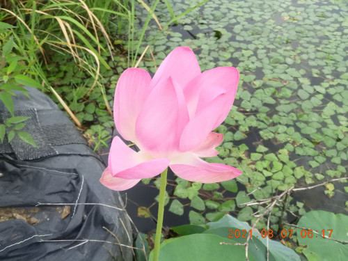 DSCN9289.JPG