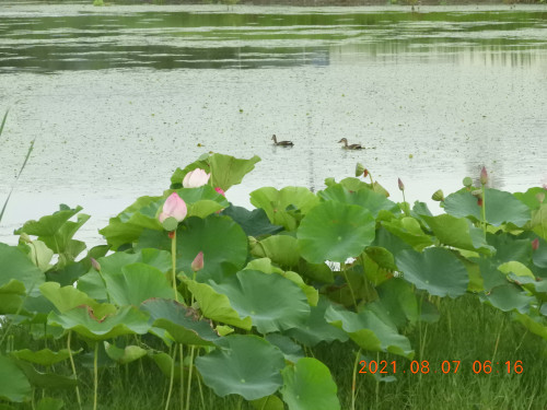 DSCN9288.JPG