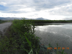 DSCN9294.JPG