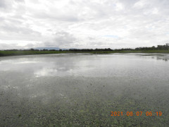 DSCN9295.JPG