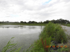 DSCN9296.JPG