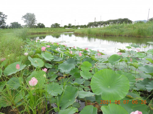 DSCN9299.JPG