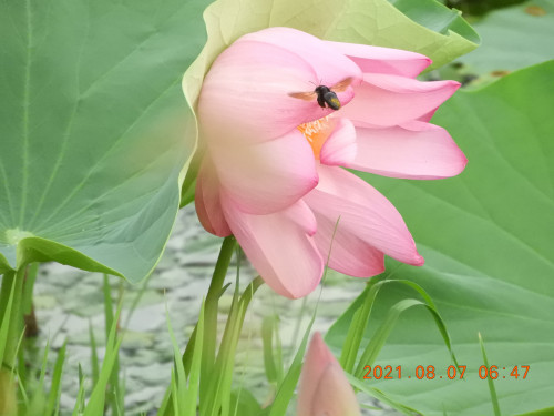 DSCN9303.JPG