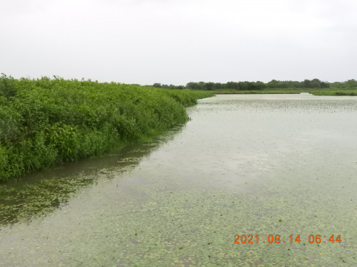 DSCN9328.JPG