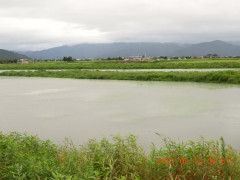 DSCN9331.JPG