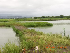 DSCN9332.JPG