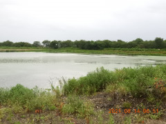 DSCN9333.JPG