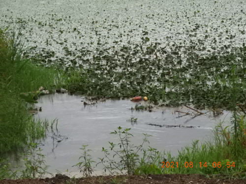 DSCN9334.JPG