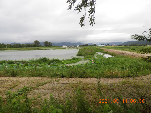 DSCN9338.JPG