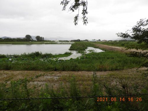 DSCN9342.JPG