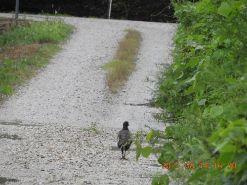 DSCN9345.JPG