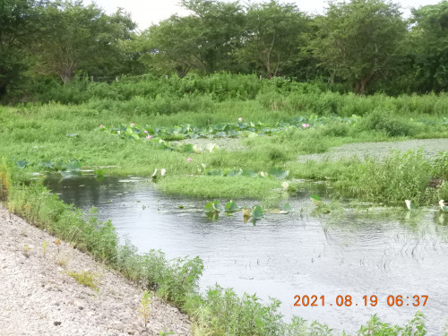 DSCN9355.JPG