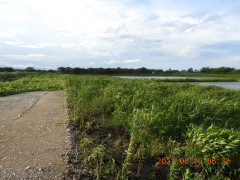DSCN9351.JPG