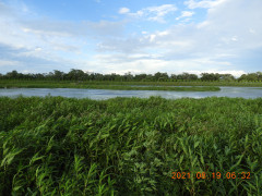 DSCN9352.JPG