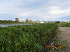 DSCN9353.JPG