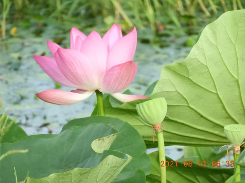 DSCN9357.JPG