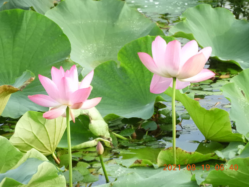 DSCN9358.JPG