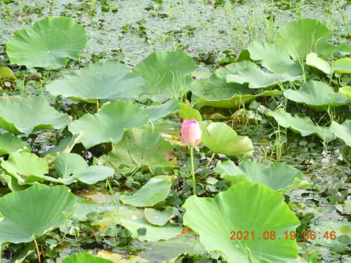DSCN9366.JPG
