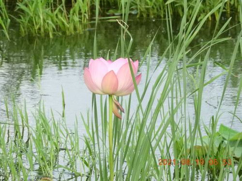 DSCN9379.JPG