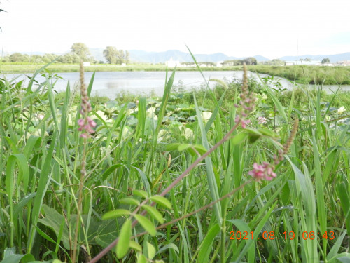 DSCN9360.JPG