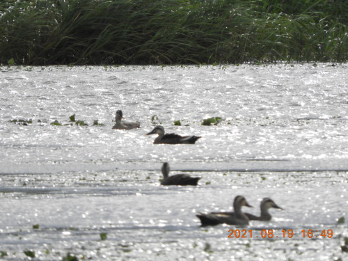 DSCN9387.JPG
