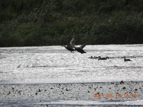 DSCN9388.JPG
