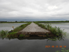 DSCN9403.JPG