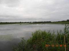 DSCN9404.JPG