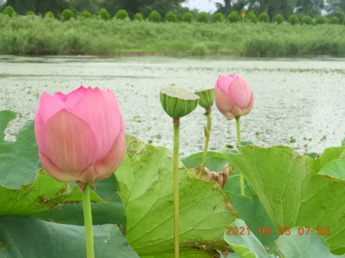 DSCN9432.JPG