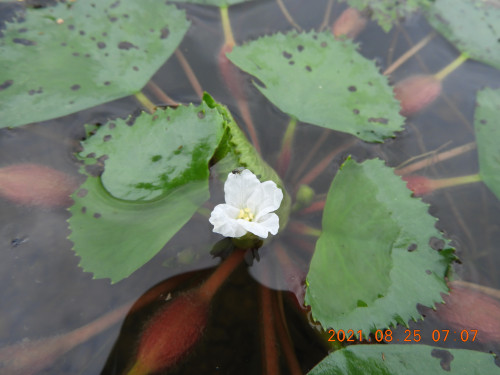 DSCN9438.JPG
