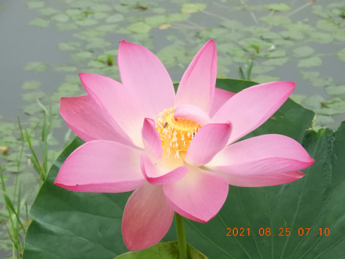 DSCN9441.JPG