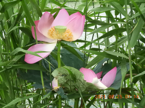 DSCN9457.JPG