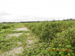DSCN9464.JPG