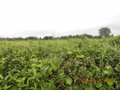 DSCN9465.JPG