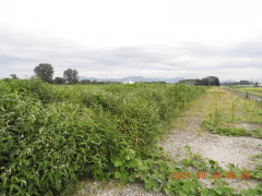 DSCN9466.JPG