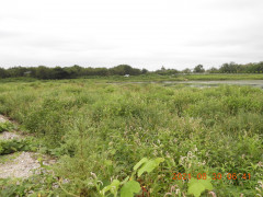 DSCN9469.JPG