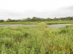 DSCN9470.JPG