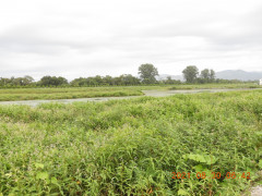 DSCN9471.JPG