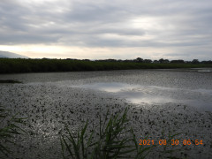 DSCN9478.JPG