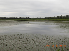 DSCN9479.JPG