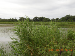 DSCN9480.JPG