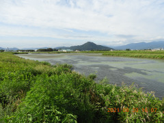 DSCN9483.JPG
