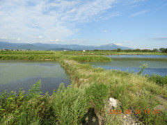 DSCN9484.JPG