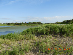 DSCN9485.JPG