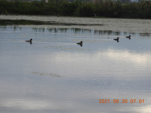 DSCN9481.JPG