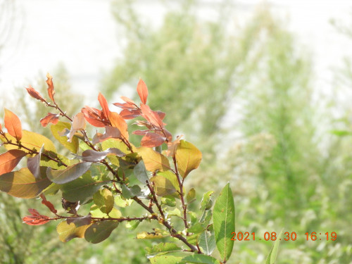 DSCN9490.JPG