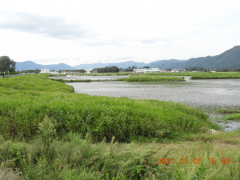 DSCN9590.JPG